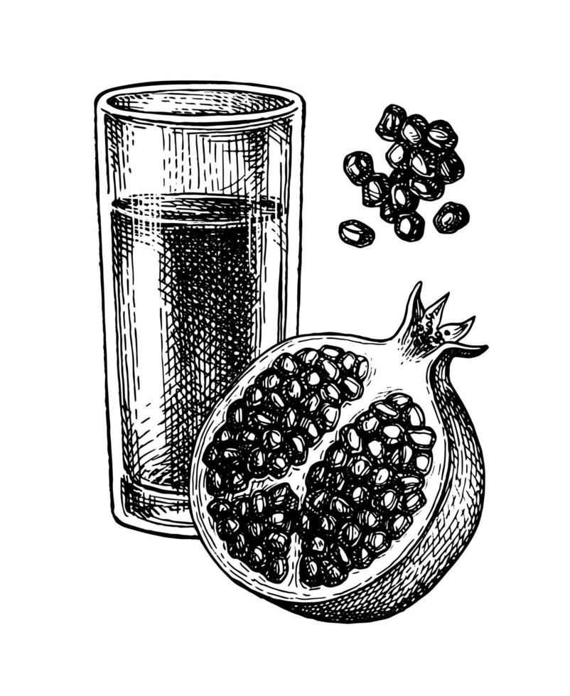 Glass of pomegranate juice and fruit slaced in half. Ink sketch isolated on white background. Hand drawn vector illustration. Retro style.