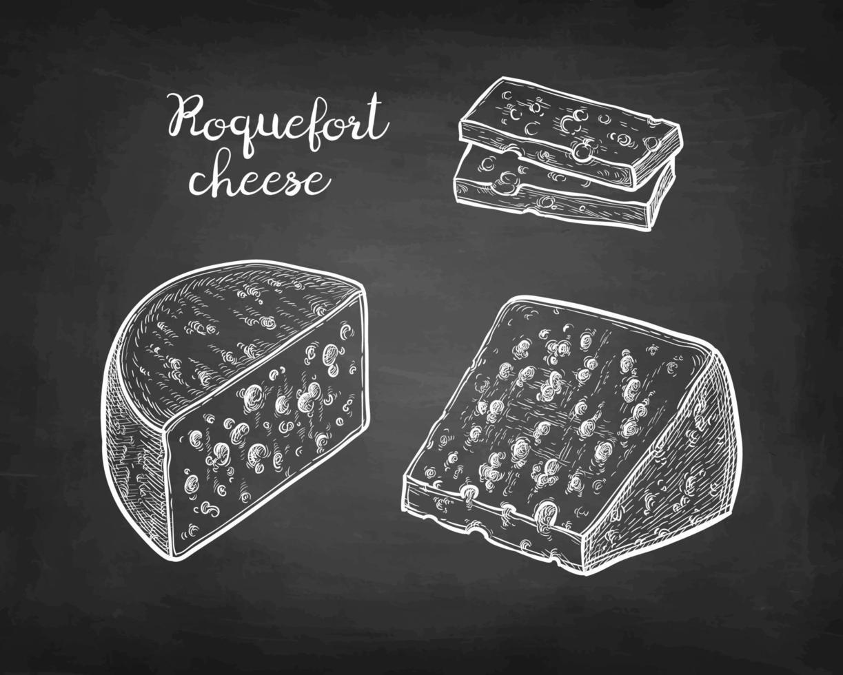 Roquefort cheese set. Chalk sketch on blackboard background. Hand drawn vector illustration. Vintage style stroke drawing.