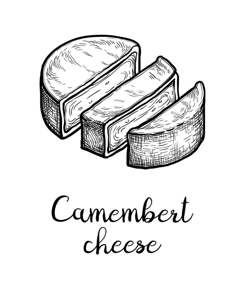 Sliced camembert cheese. Ink sketch isolated on white background. Hand drawn vector illustration. Vintage style stroke drawing.