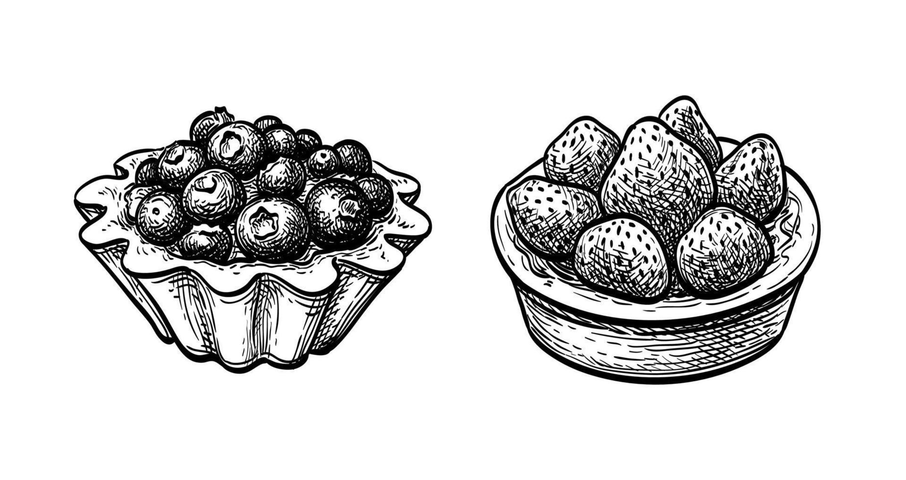 Fruta tartas con Fresco bayas. tinta bosquejo aislado en blanco antecedentes. mano dibujado vector ilustración. retro estilo.