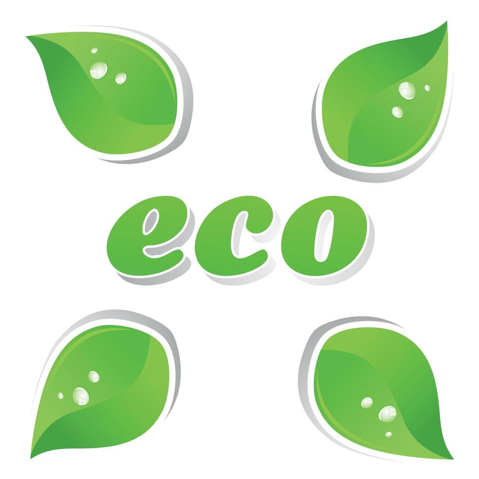 Ecology and green leafs of a plant. A vector illustration