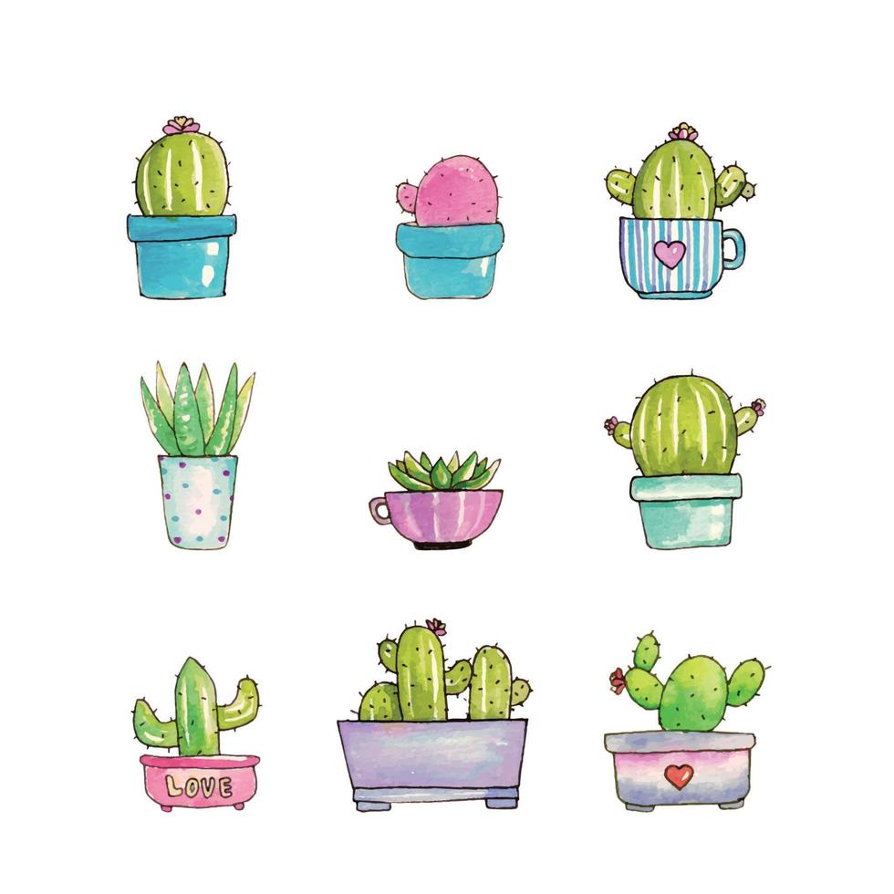 Succulents Doodle Illustration vector