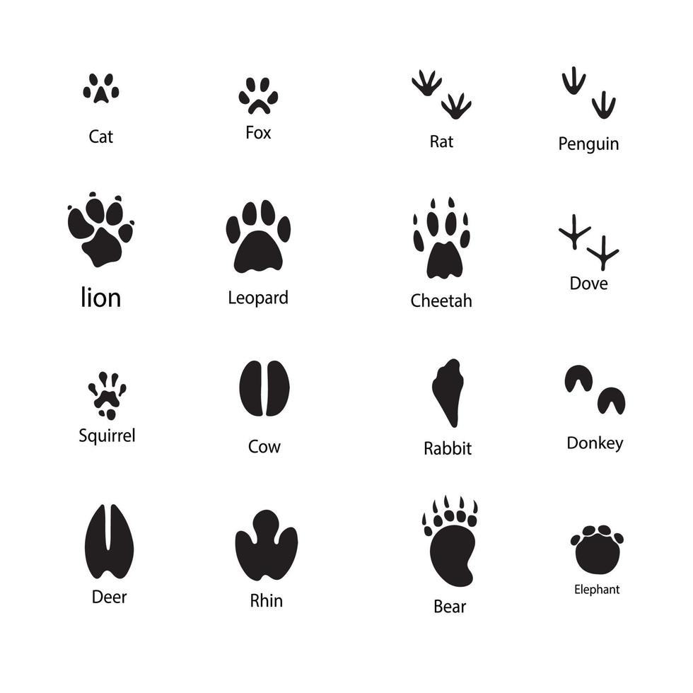 Set of Footprints of Birds and Animals Pro Vector