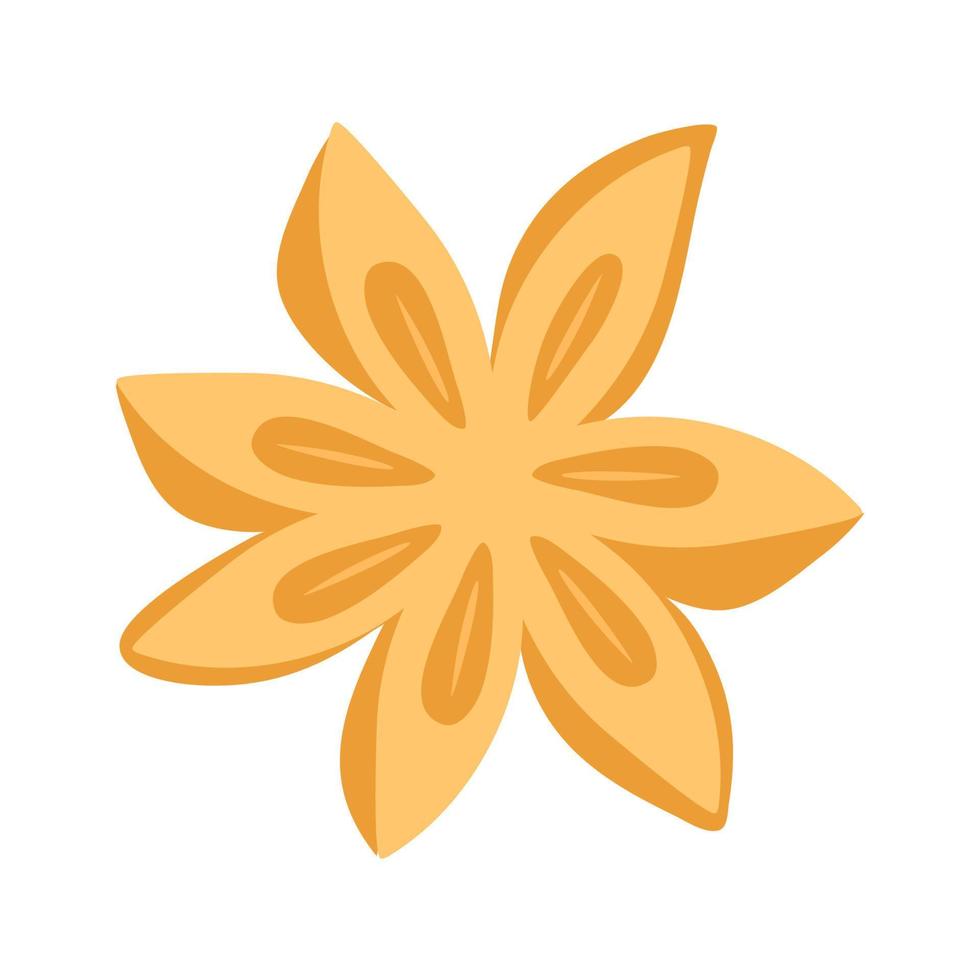 star anise illustration vector