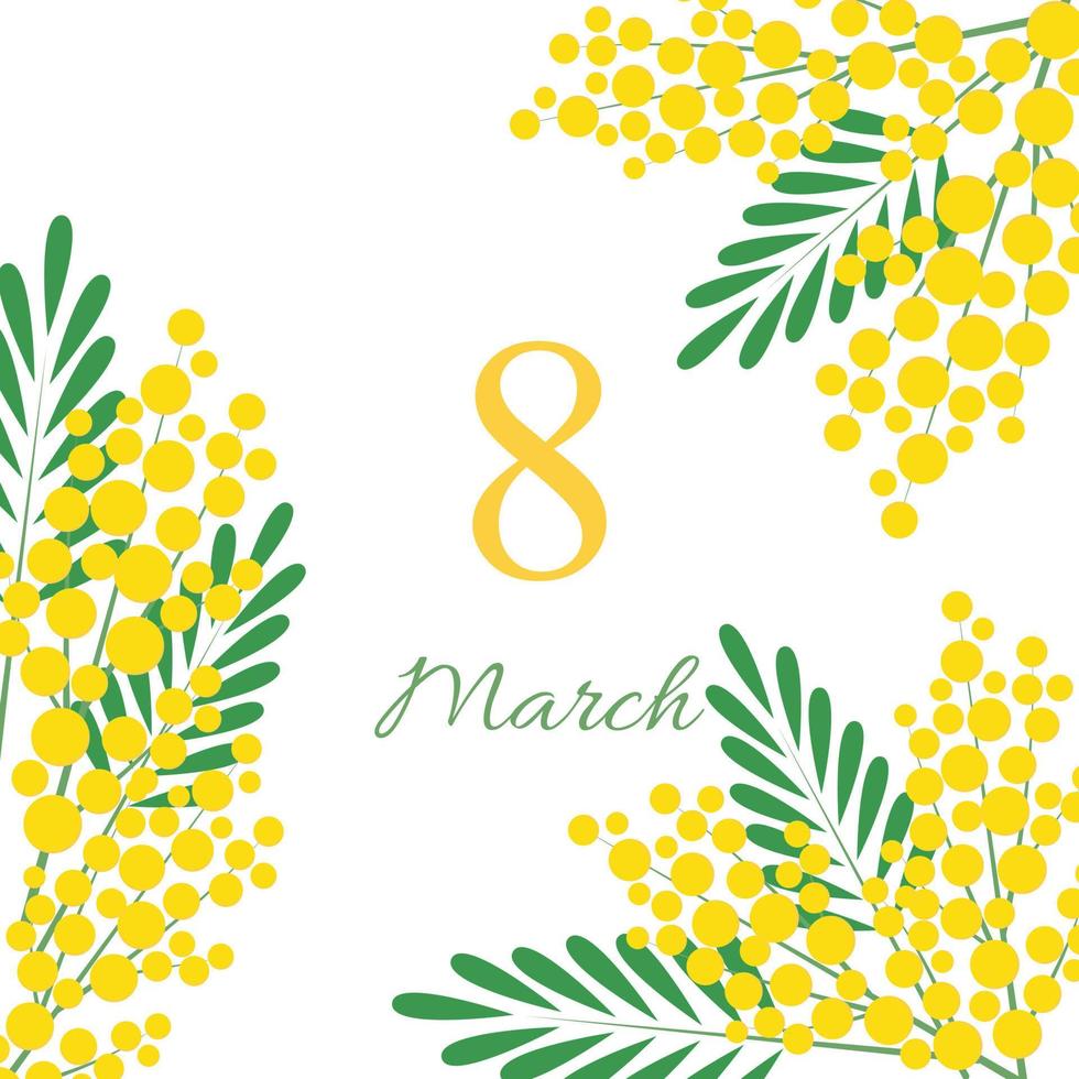 International Women's Day March 8. Greeting card design with mimosa flowers. Vector illustration on white background