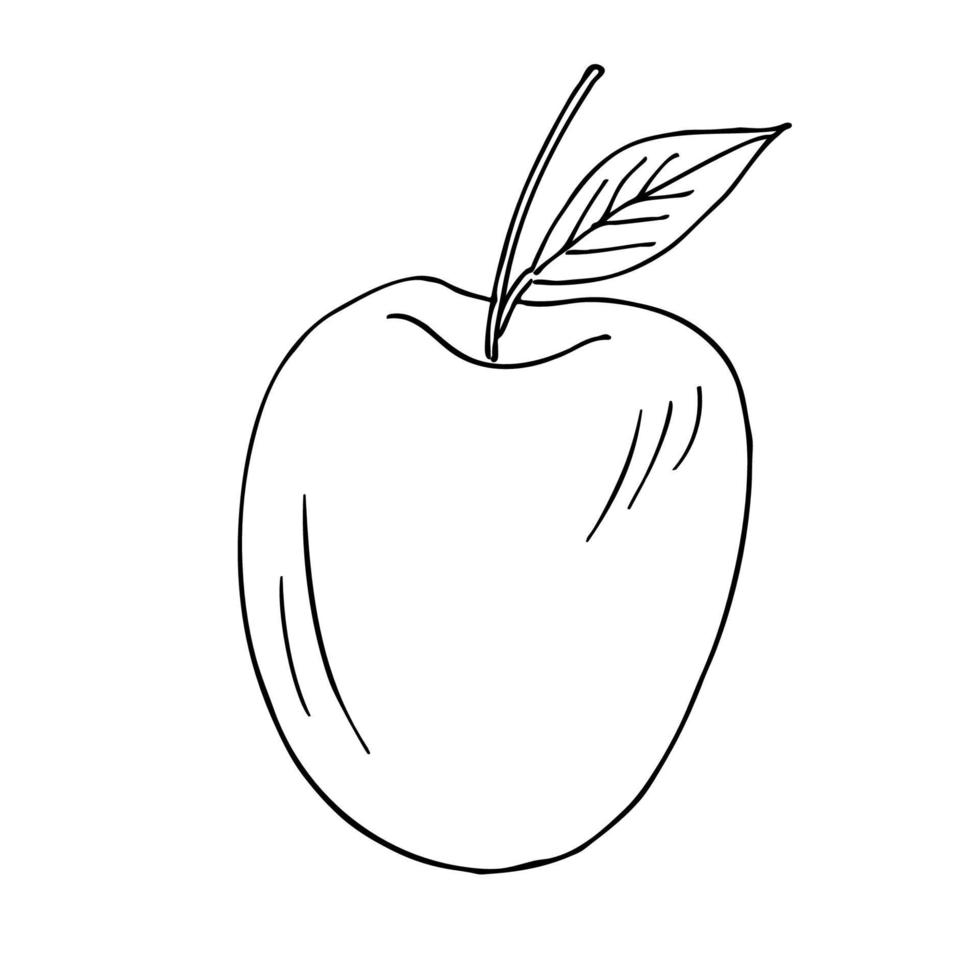 Apple. Drawn fruits in sketch style on an isolated white background. Vector doodles