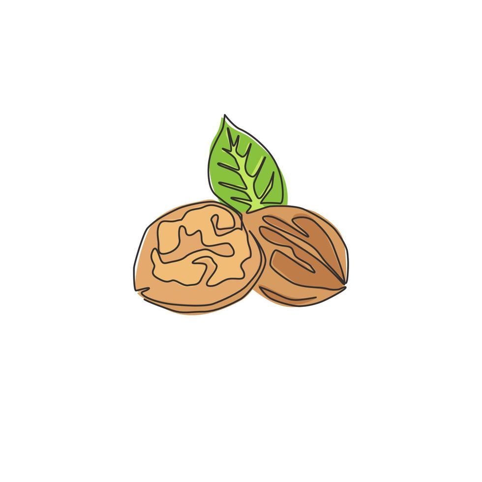 Single continuous line drawing whole healthy organic walnut and leaves for orchard logo identity. Fresh nutshell concept for healthy seed icon. Modern one line draw design vector graphic illustration