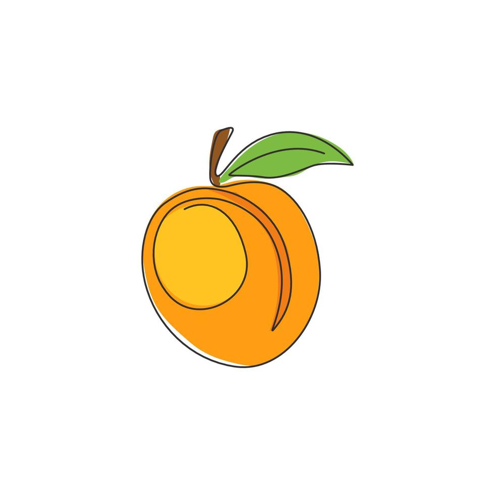 One single line drawing of whole healthy organic apricot for orchard logo identity. Fresh fruitage concept for fruit garden icon. Modern continuous line draw design vector graphic illustration