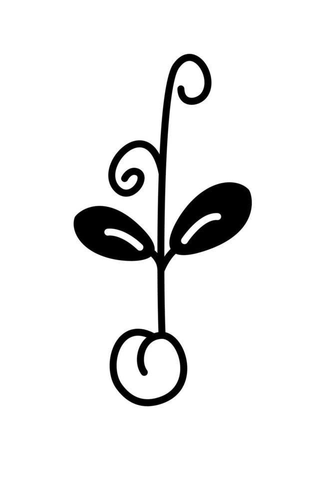 Pea sprout seed black and white doodle vector illustration. Pea micro green monochrome outline cartoon drawing.