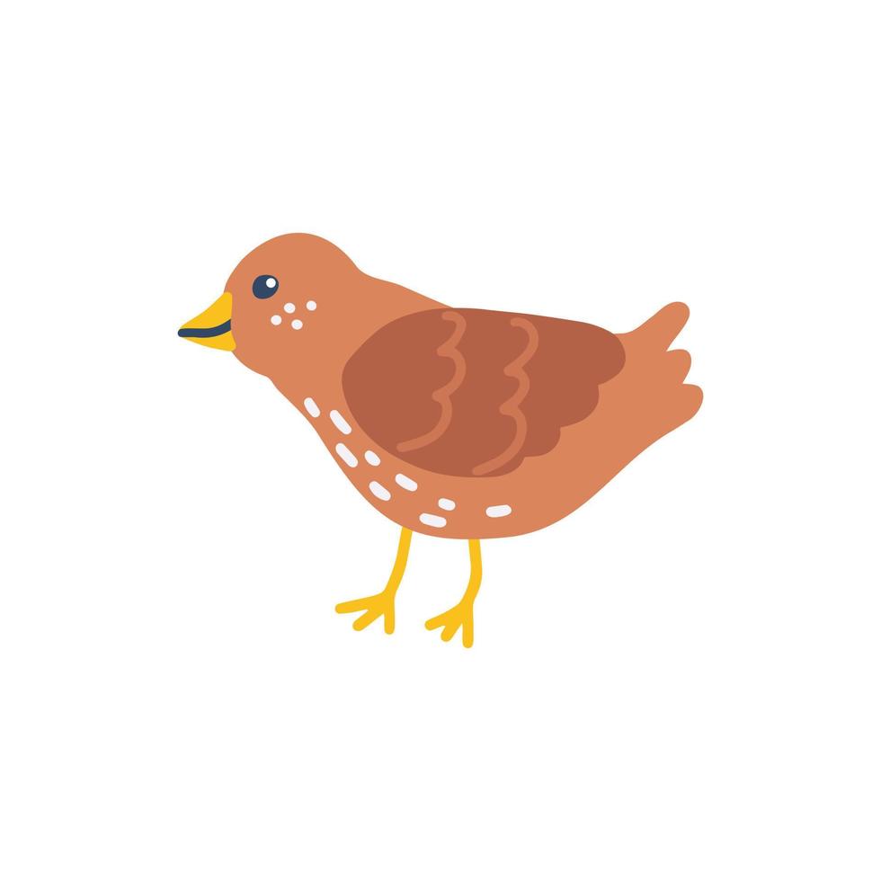 Cute sparrow, vector flat hand drawn illustration