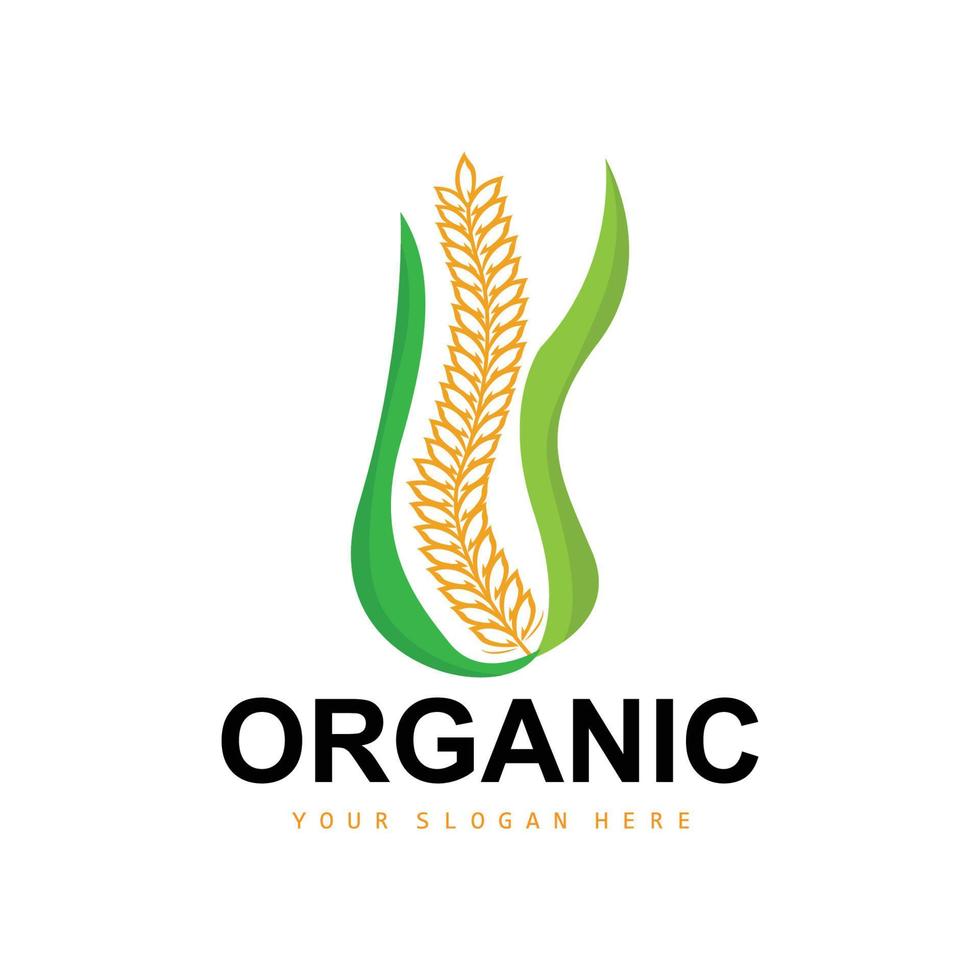 Wheat Rice Logo, Agricultural Organic Plants Vector, Luxury Design Golden Bakery Ingredients vector