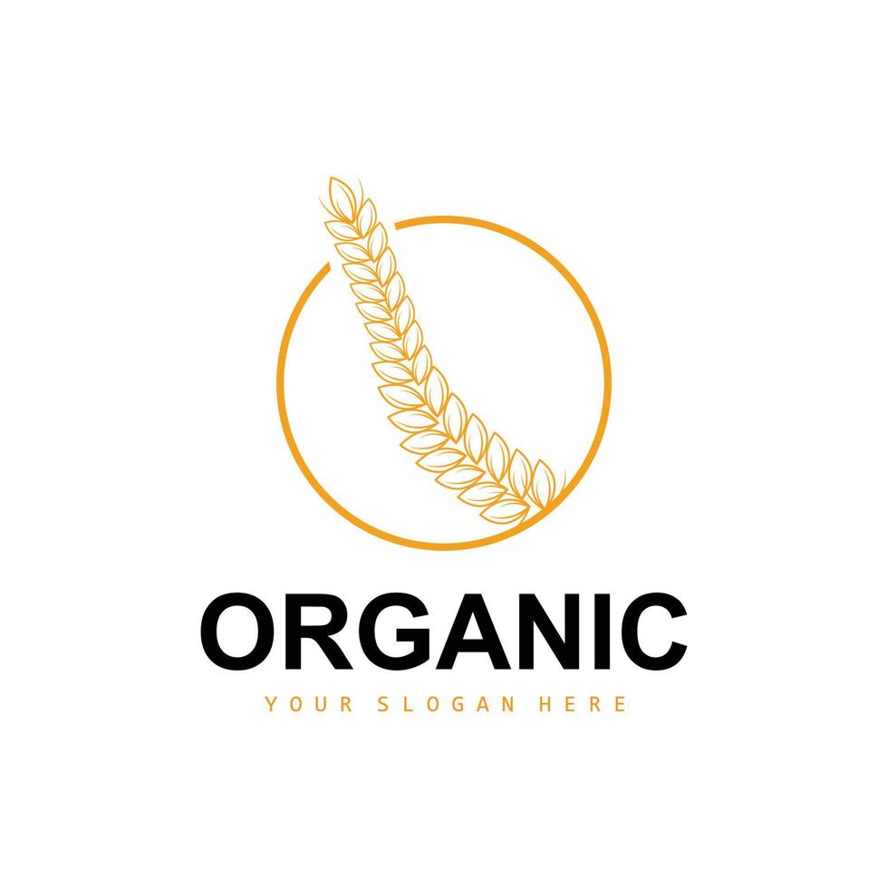 Wheat Rice Logo, Agricultural Organic Plants Vector, Luxury Design Golden Bakery Ingredients vector