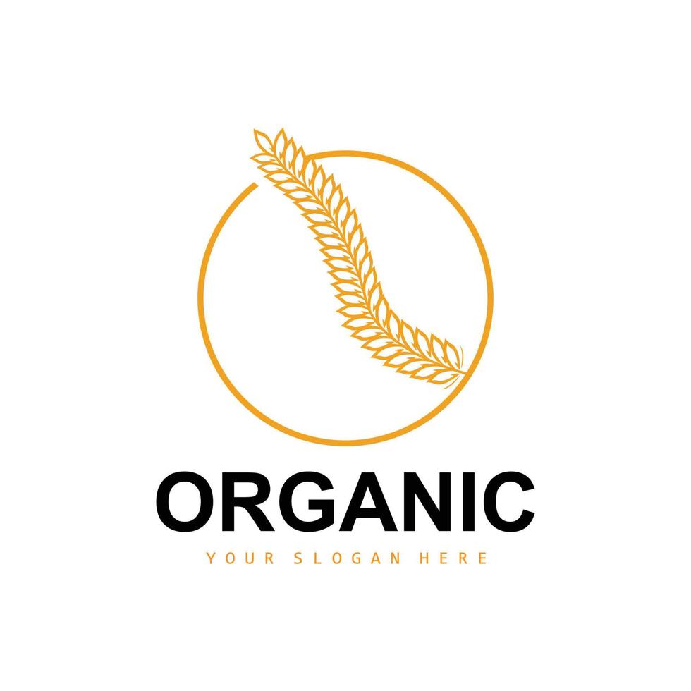 Wheat Rice Logo, Agricultural Organic Plants Vector, Luxury Design Golden Bakery Ingredients vector