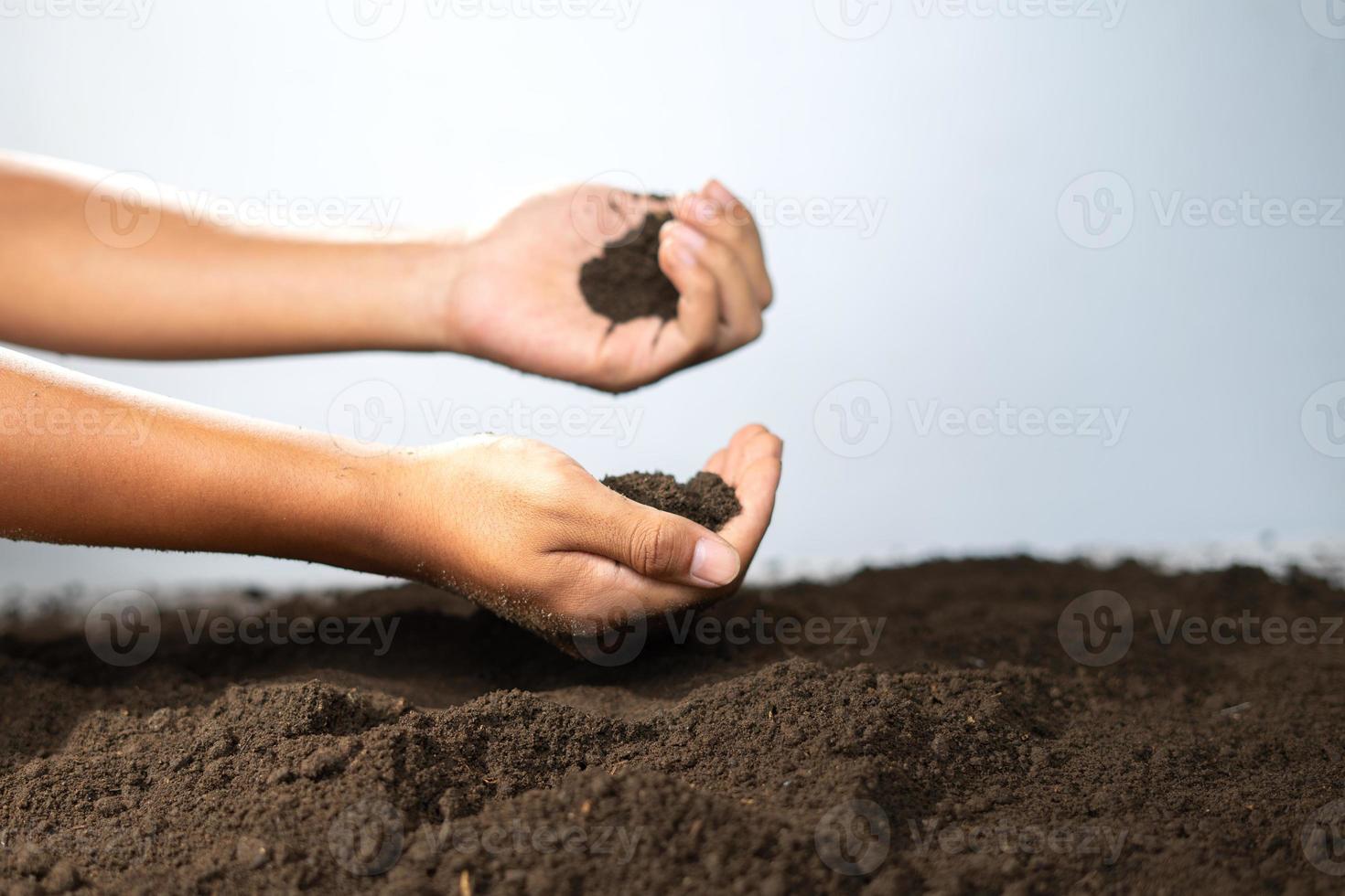 Two hands holding fertile soil for quality comparison 20290623 Stock