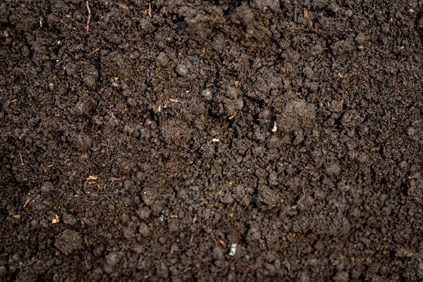 Abstract soil texture for nature background photo