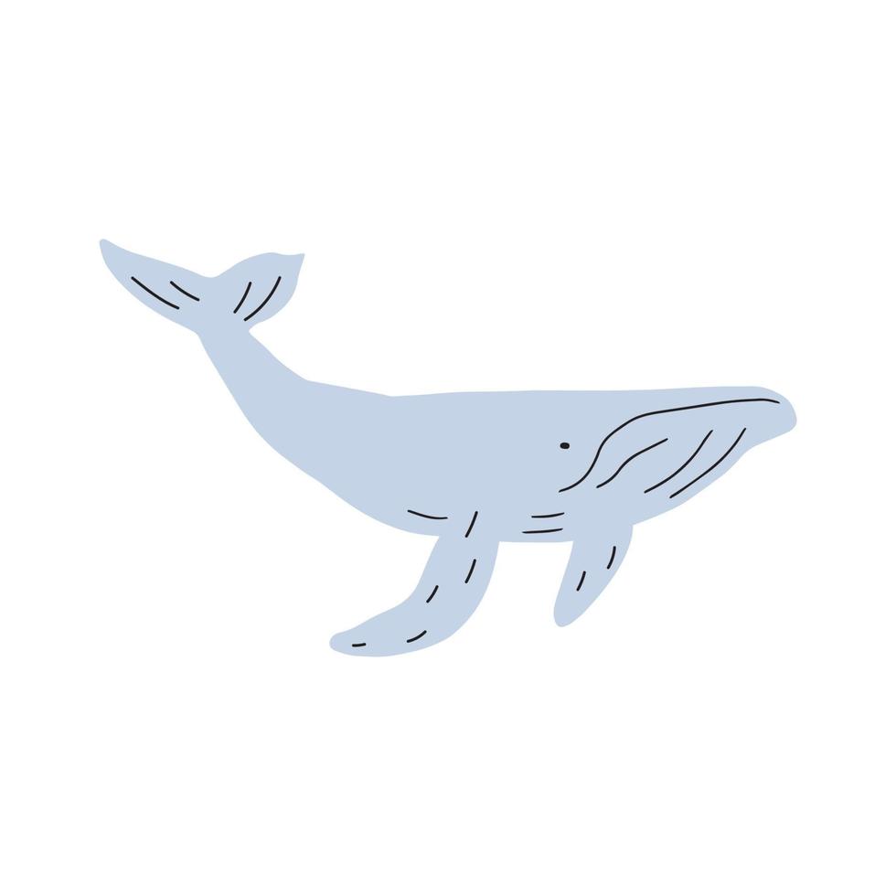 Whale, ocean animal. Sealife in Scandinavian style on a white background. Great for poster, card, apparel print. Vector illustration