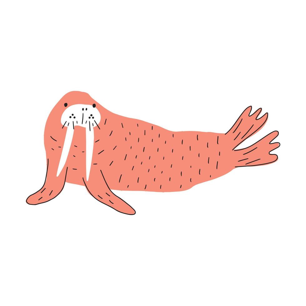 Cute walrus in Scandinavian style on a white background. Vector hand drawn kids illustration. Sea ocean. Underwater world