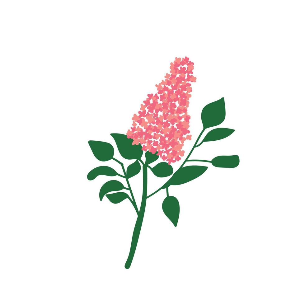 lila rama. vistoso flores con cuatro pétalos vector ilustración , Perfecto para imprimir, Boda diseño