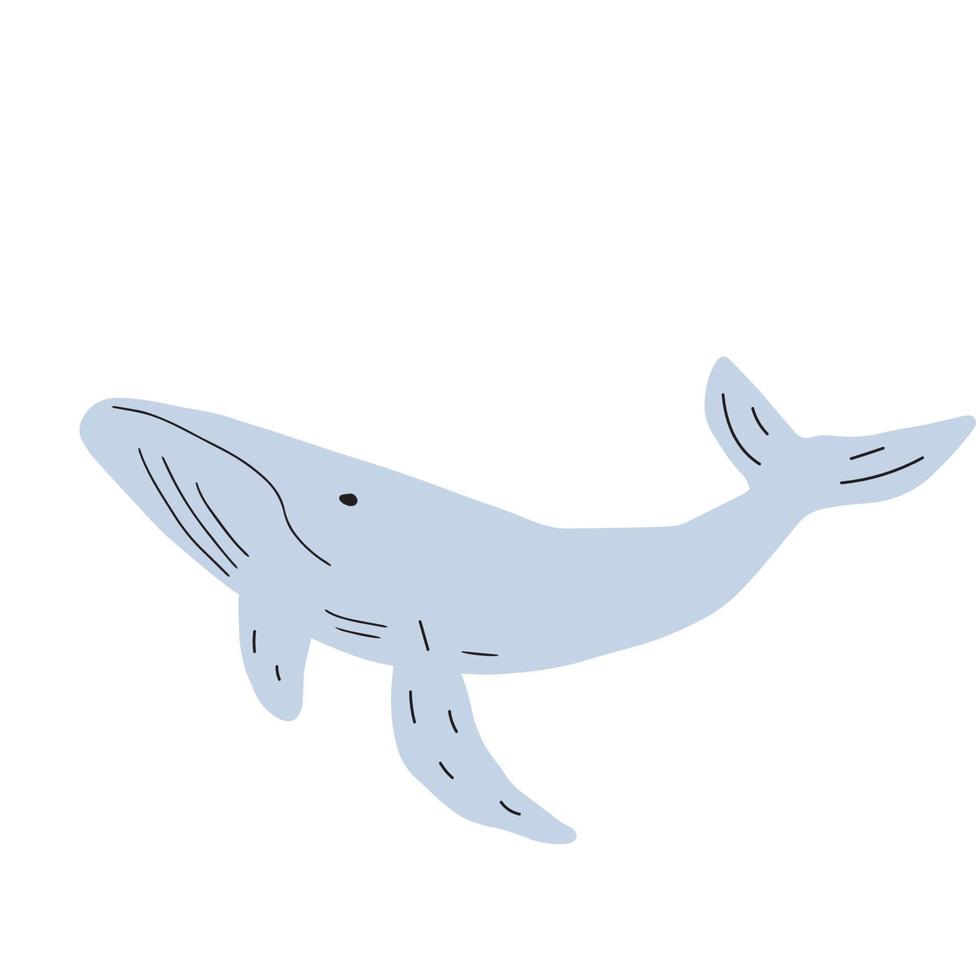 ballena, Oceano animal. vida marina en escandinavo estilo en un blanco antecedentes. genial para póster, tarjeta, vestir impresión. vector ilustración