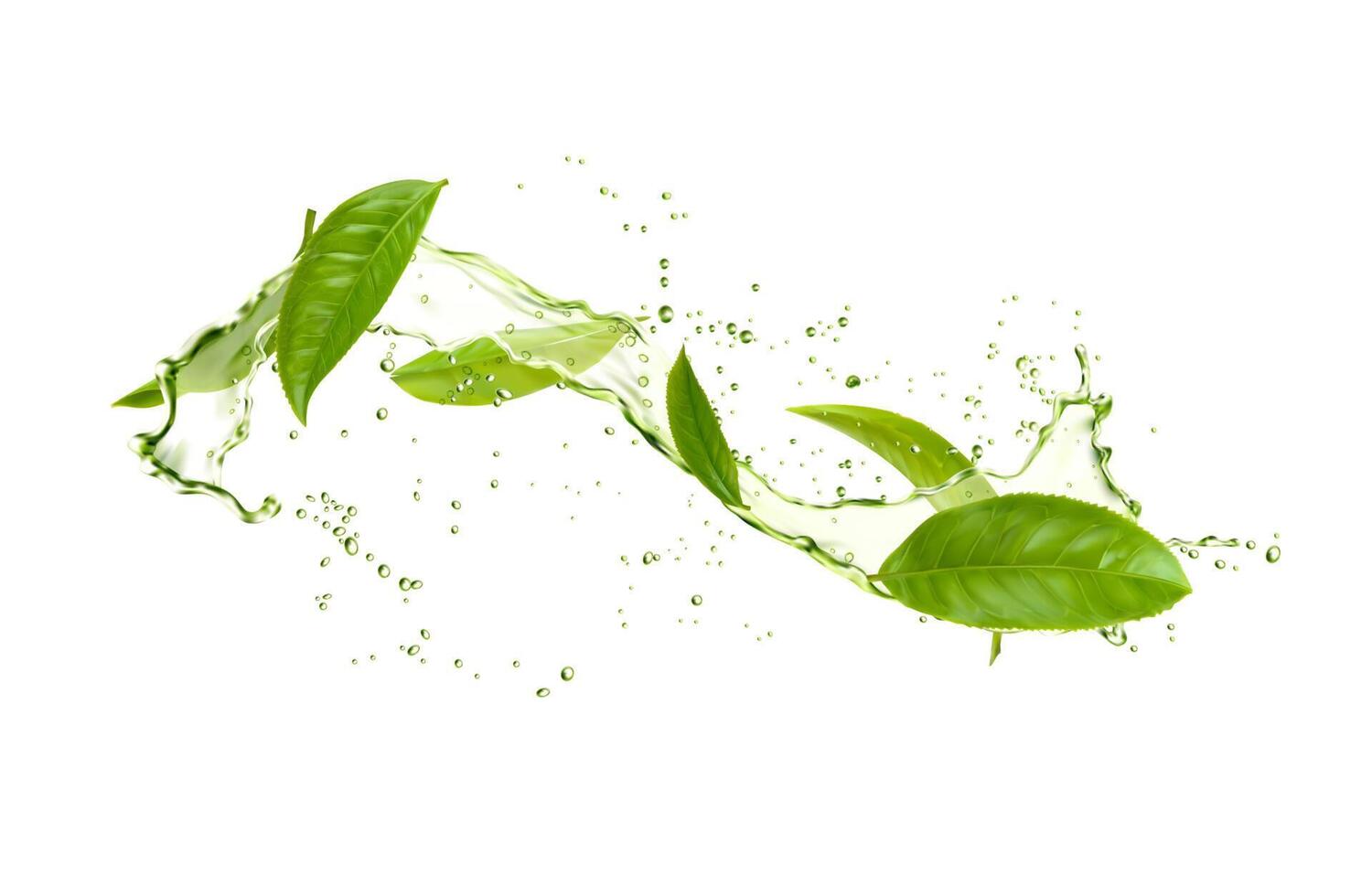 Realistic herbal tea splash, green leaves, water 20292640 Vector Art at