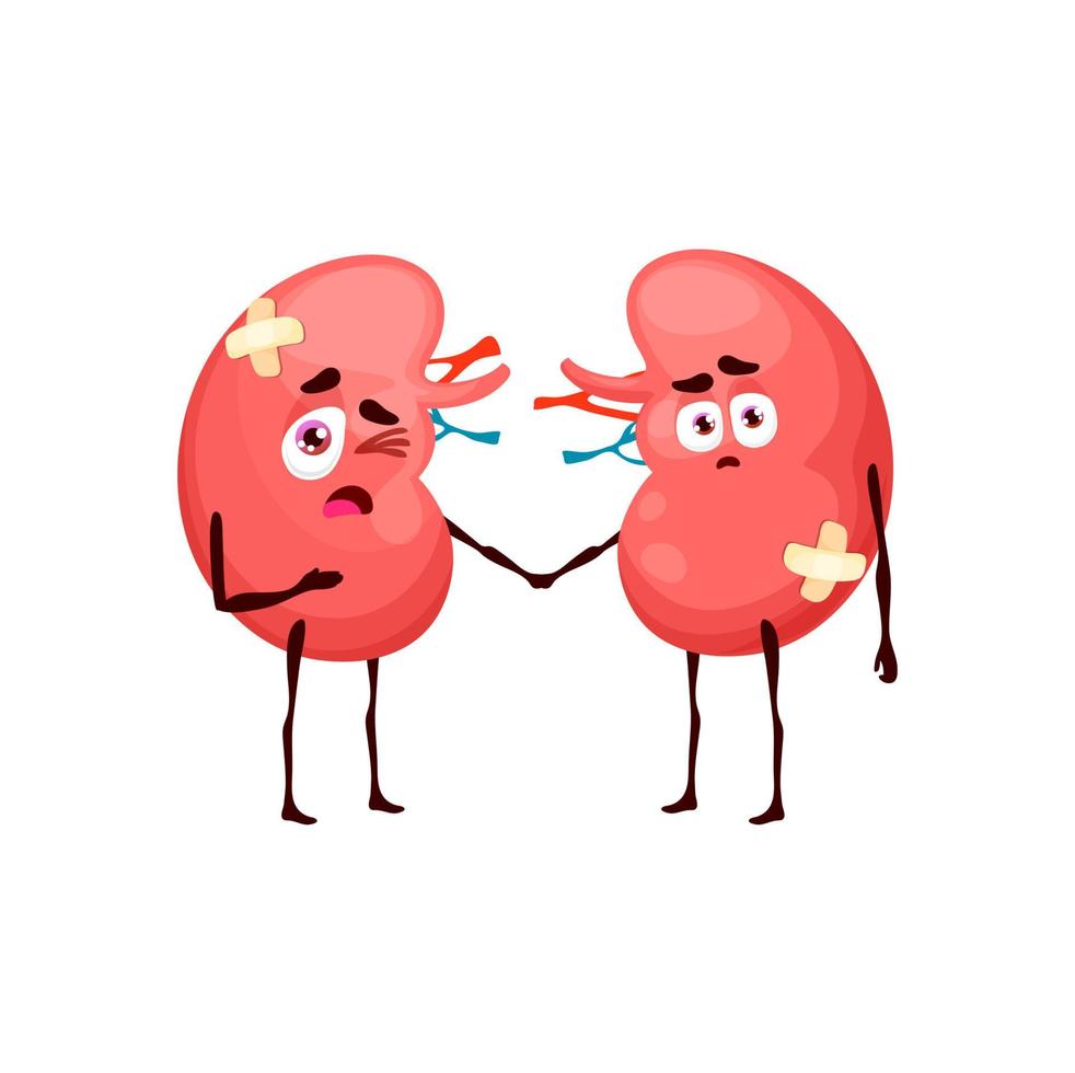 Kidneys sick body organ character, cartoon reins vector