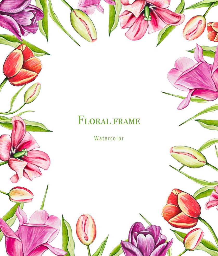 Hand draw watercolor floral tulip frame . Border with spring flowers. vector