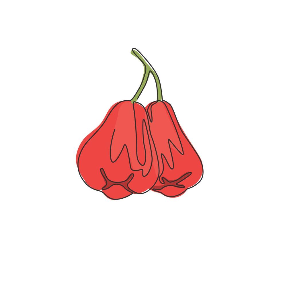 Single continuous line drawing of whole healthy organic bell fruits for orchard logo identity. Fresh rose apple fruitage concept for fruit garden icon. Modern one line draw design vector illustration