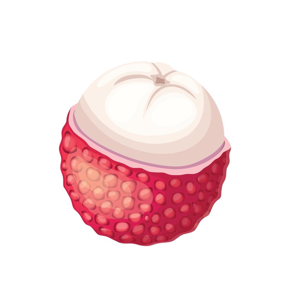 lychee food cartoon vector illustration