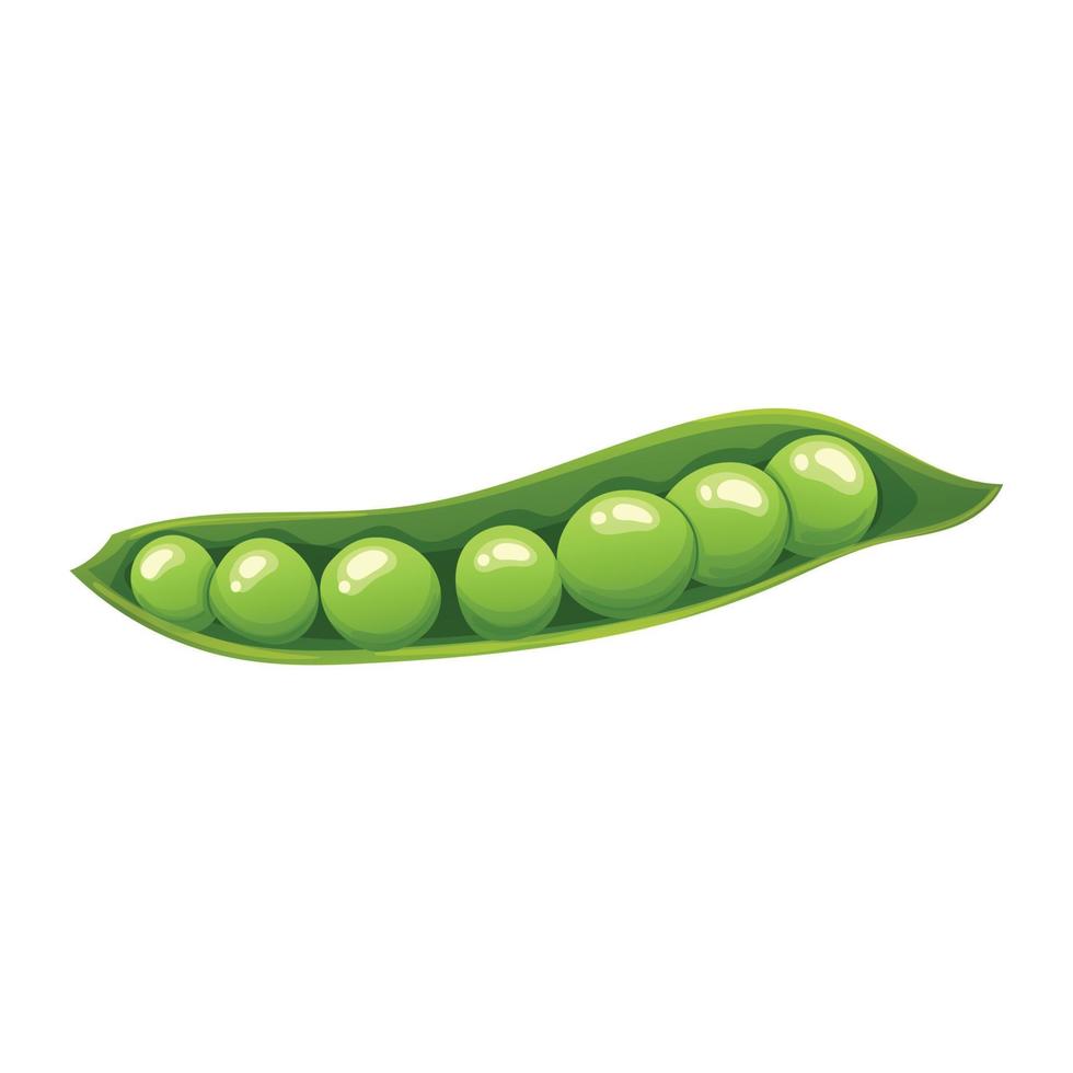 green pea food cartoon vector illustration