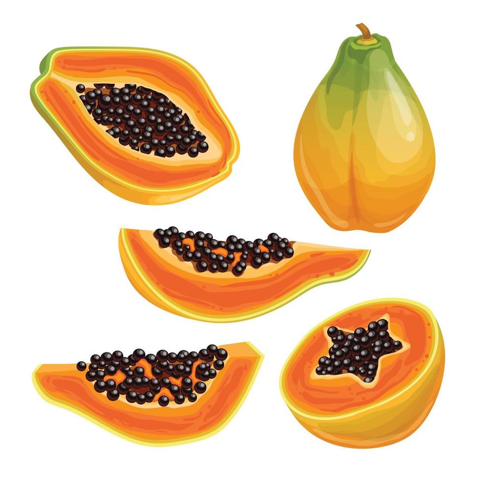 papaya comida fruta fresca conjunto dibujos animados vector ilustración