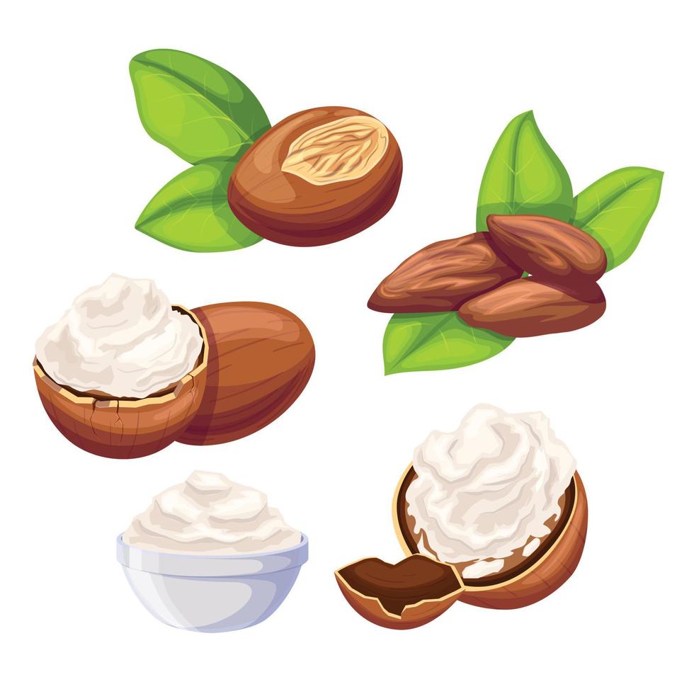 shea beauty butter set cartoon vector illustration