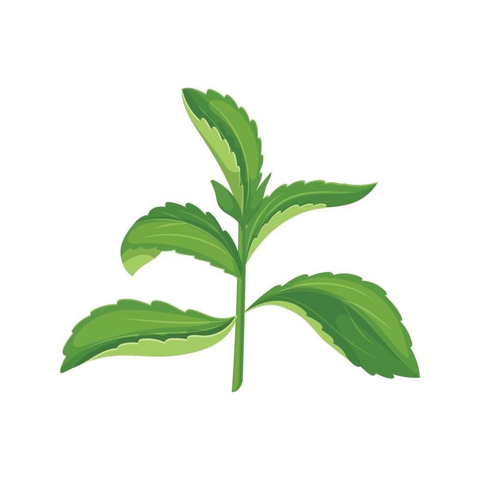 stevia dieta dibujos animados vector ilustración