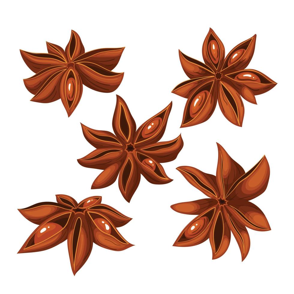 anise star brown dry set cartoon vector illustration