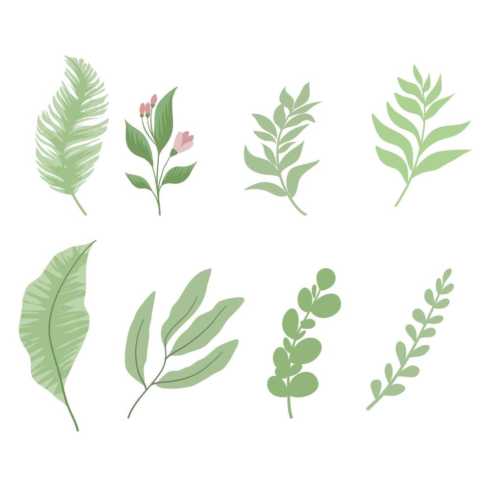 Green leaves collection vector