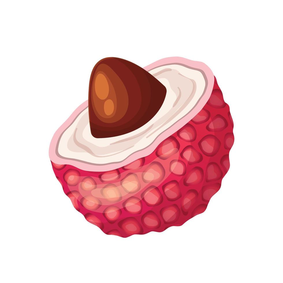 lychee food cartoon vector illustration