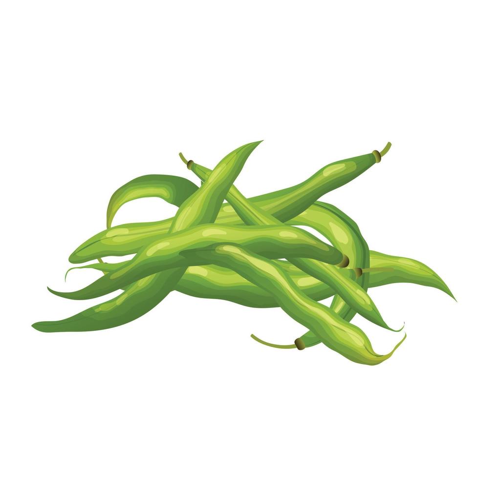 green bean food cartoon vector illustration 20294987 Vector Art at Vecteezy