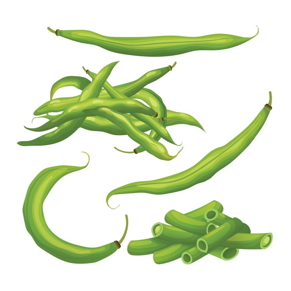 green bean set cartoon vector illustration