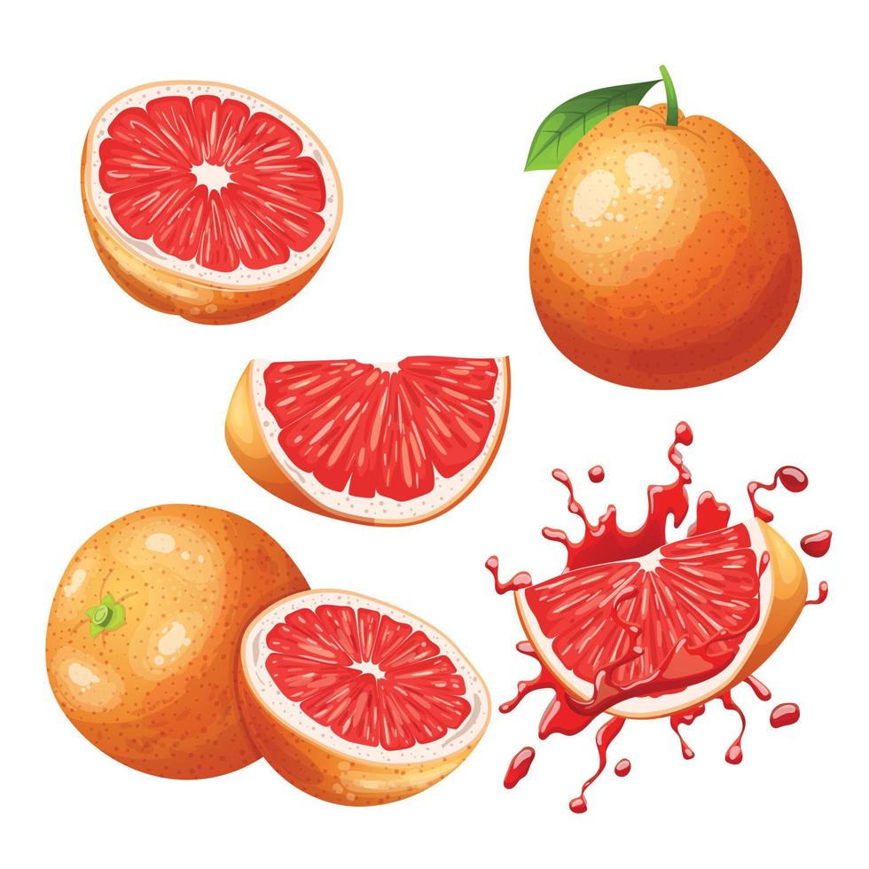 grapefruit fruit fresh set cartoon vector illustration