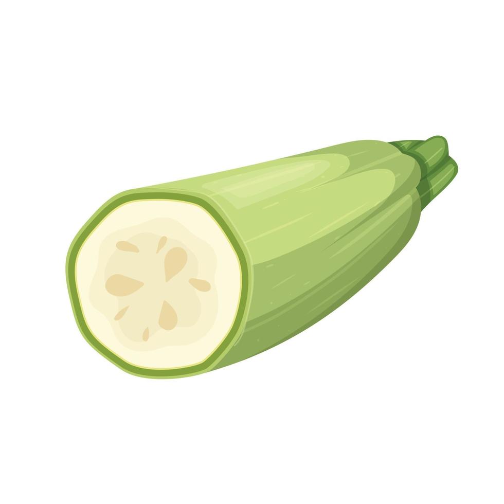 zucchini marrow vegetable cartoon vector illustration