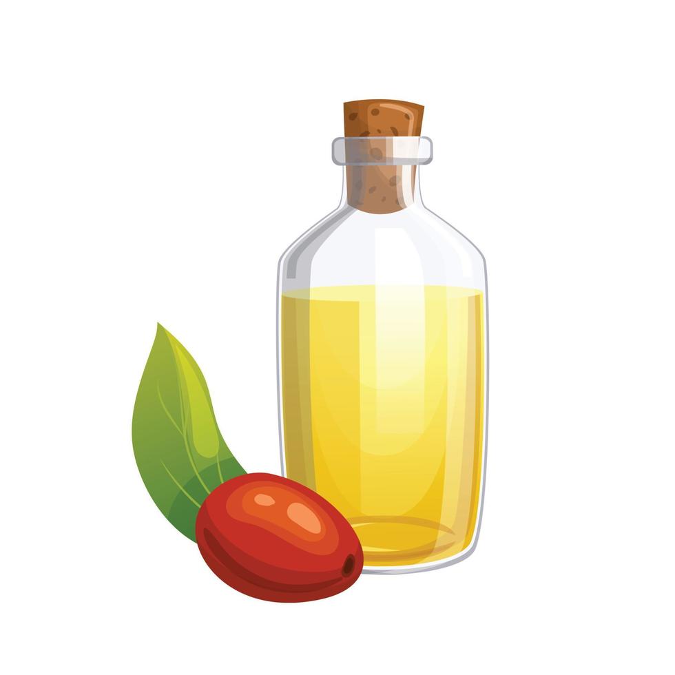 jojoba natural petróleo dibujos animados vector ilustración