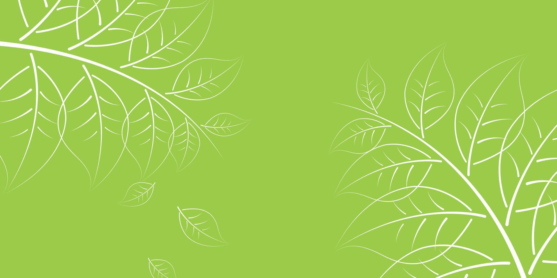 Illustration of white line leaves on green background vector