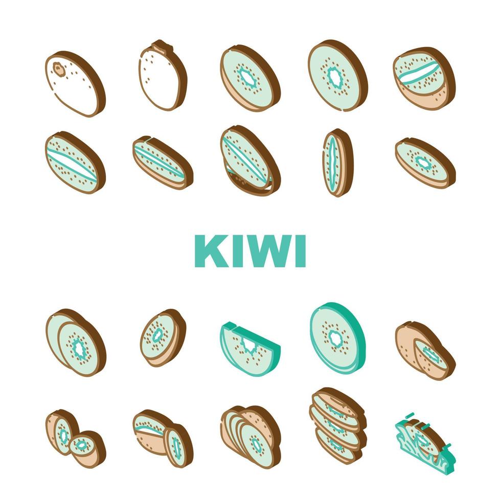 kiwi food green fresh icons set vector