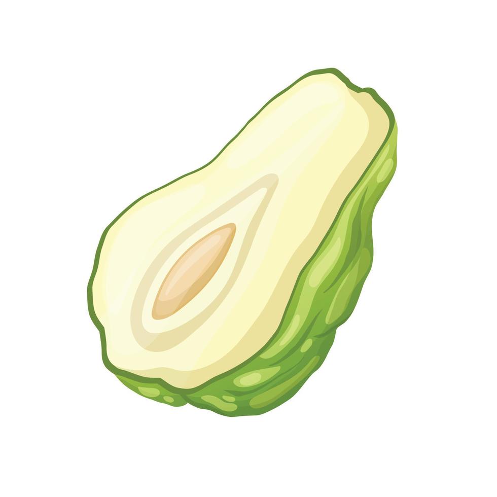 chayote Fresco dibujos animados vector ilustración