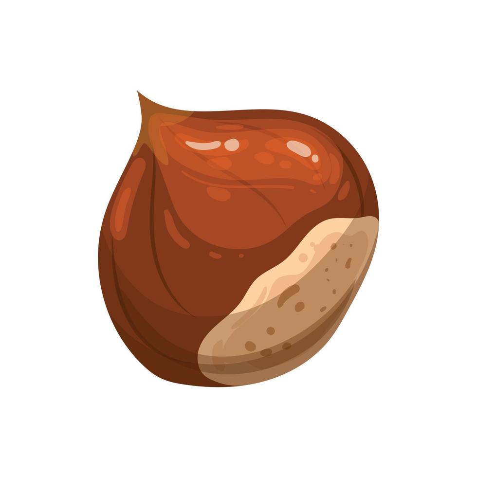 chestnut autumn food cartoon vector illustration