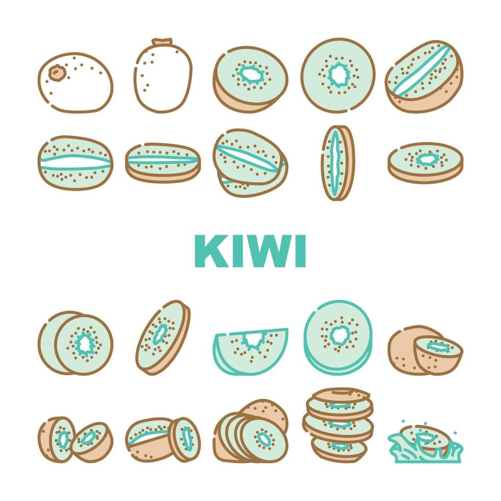 kiwi comida verde Fresco íconos conjunto vector