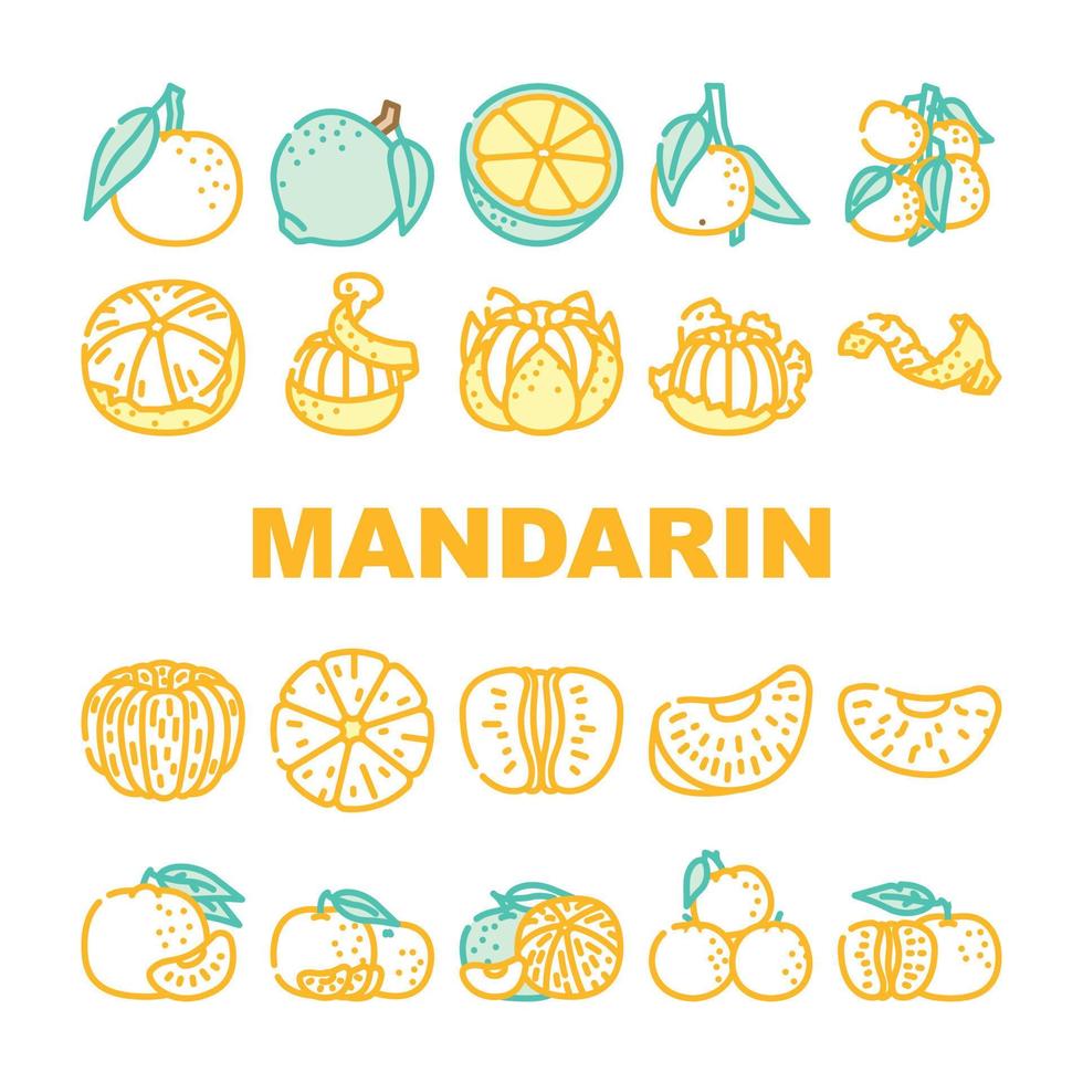 mandarin citrus fruit icons set vector