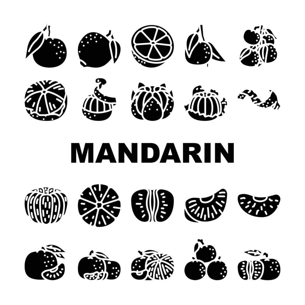 mandarin citrus fruit icons set vector