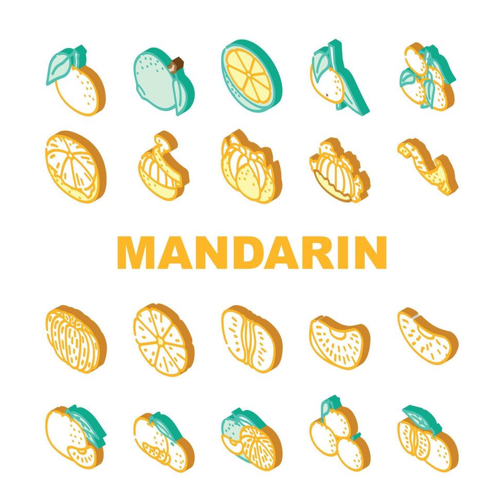 mandarin citrus fruit icons set vector