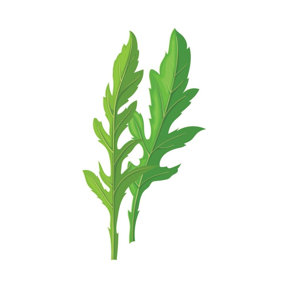 ilustración de vector de dibujos animados de vegetales de rúcula
