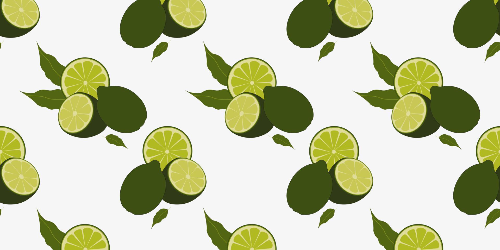 sin costura modelo con verde limón o Lima. vector